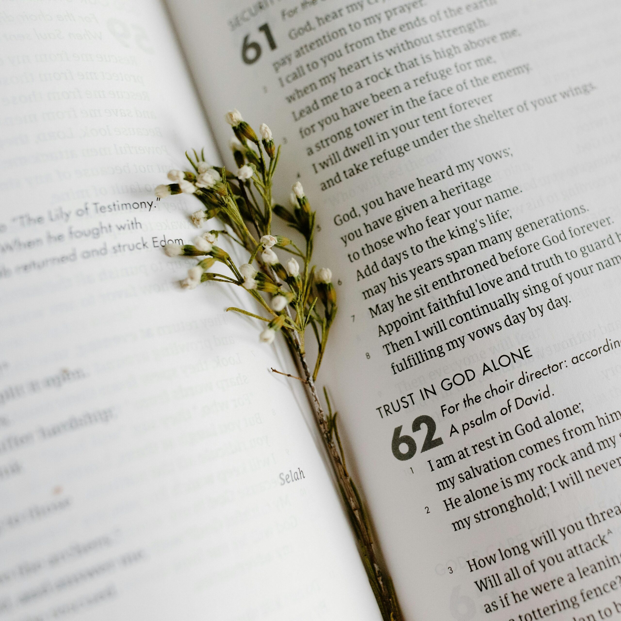 In the Beginning Blog